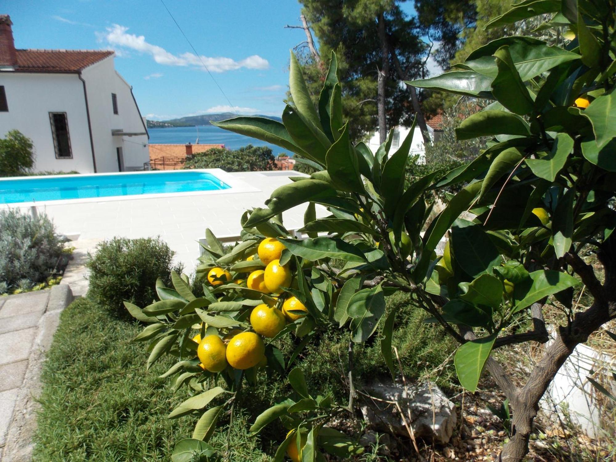 Apartments Villa Goja Trogir Oda fotoğraf
