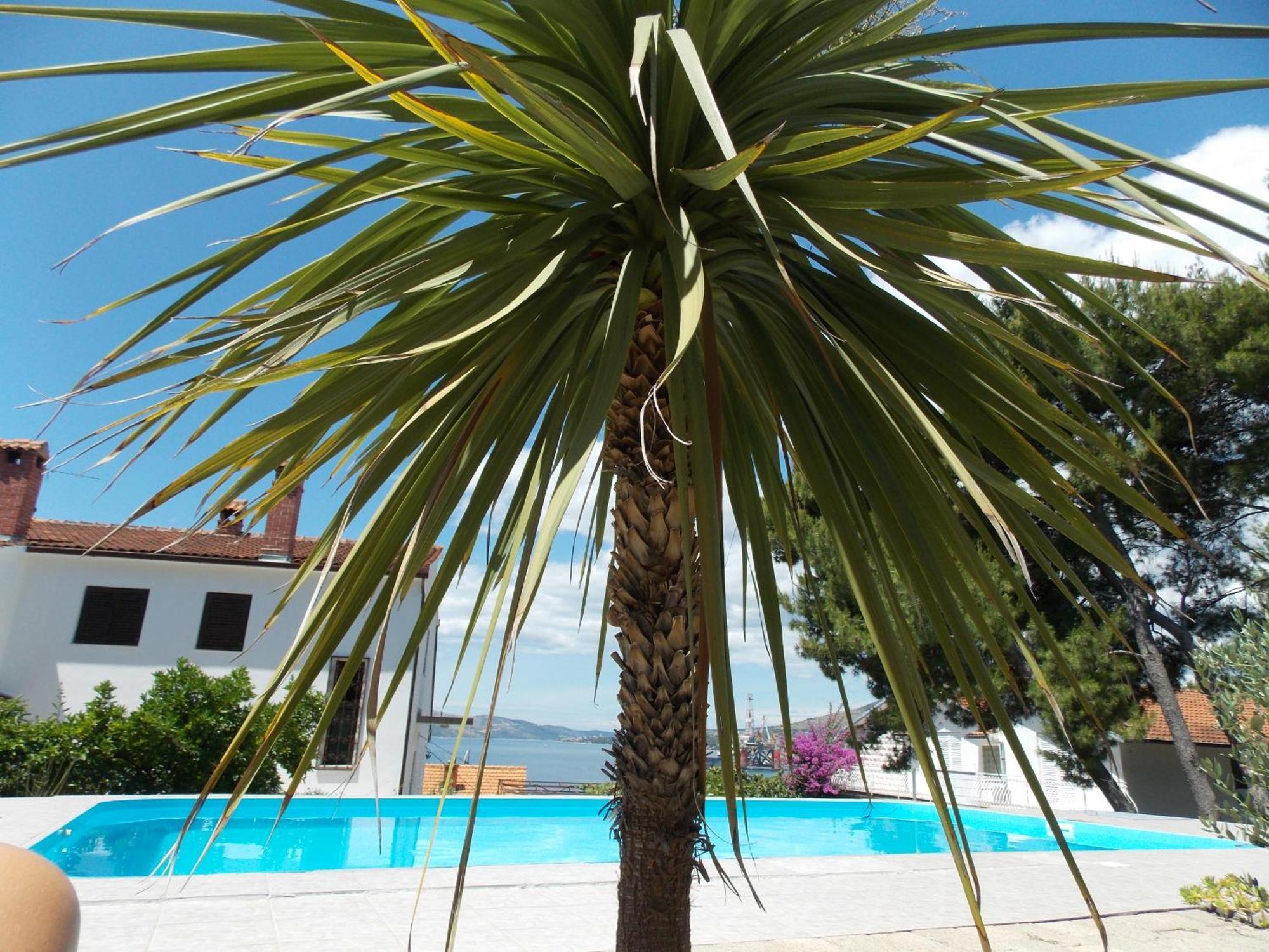Apartments Villa Goja Trogir Oda fotoğraf